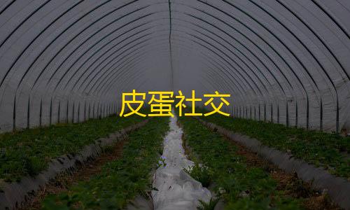 [凡凡]科技辅助2.2皮蛋社交
